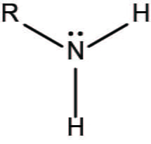Amino Functional Group | ChemTalk