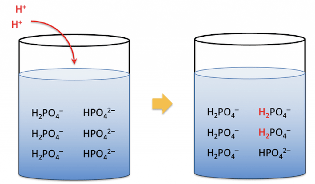 What is a Buffer Solution?, Chemistry