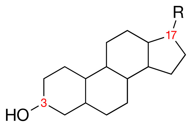 Basic Lipid Structure